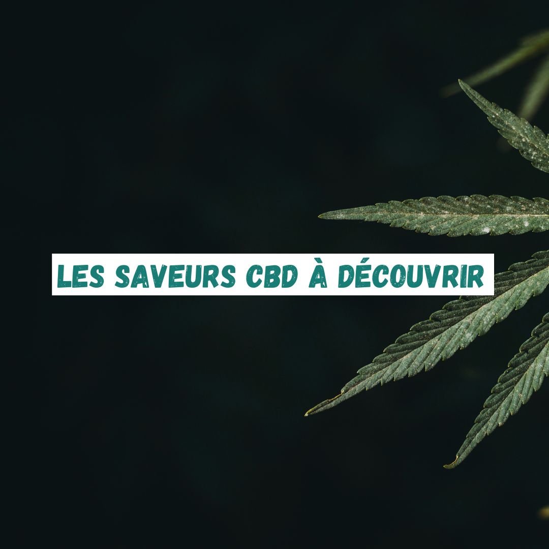 Les saveurs CBD à découvrir : une variété de choix pour les amateurs de CBD - Green Kartel  : Site d'achat de CBD en France, Vente de CBD haut de gamme