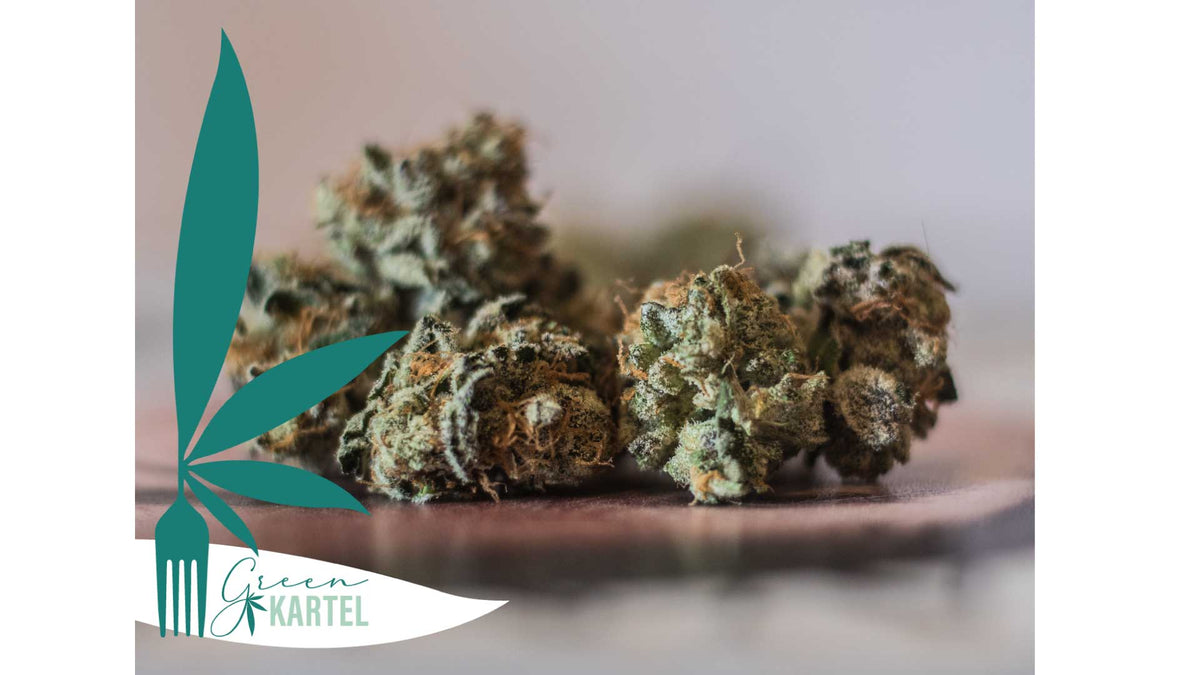 Plaque de cuisson avec fleurs de CBD en cours de décarboxylation au four