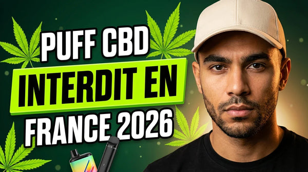 Puff CBD : interdite en France depuis 2025, voici les alternatives légales