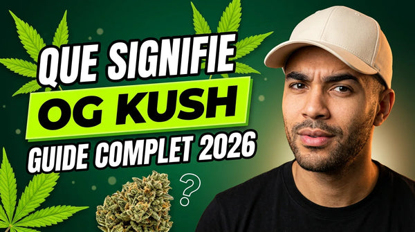 Que signifie OG dans les noms de weed ? (guide 2026)
