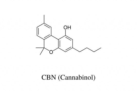 Qu'est-ce que le CBN (Cannabinol) ? - Green Kartel  : Site d'achat de CBD en France, Vente de CBD haut de gamme