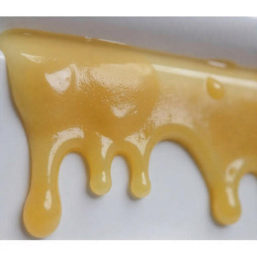 Rosin CBD : extrait sans solvant par pression à chaud (guide 2026)
