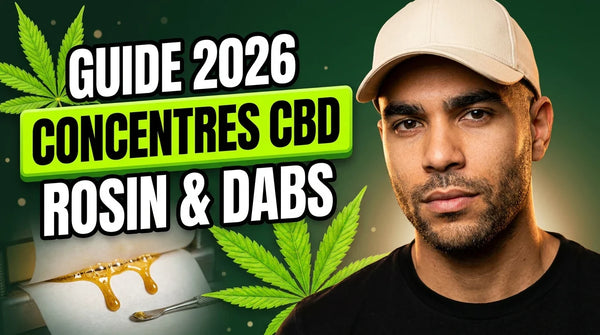 Un guide des concentrés de cannabis - Green Kartel  : Site d'achat de CBD en France, Vente de CBD haut de gamme