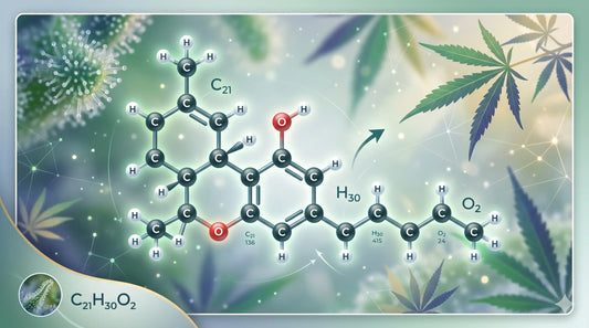 THCX : Guide Complet 2026 — Effets, Risques, Légalité et Alternatives