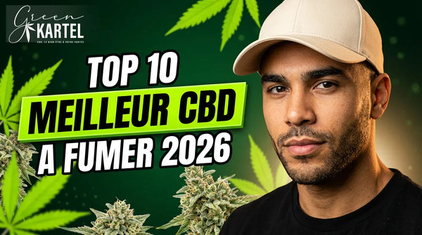 Meilleur CBD à Fumer : Top 10 Fleurs Puissantes 2026 | GK