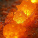 Butane Hash Oil (BHO) : Extraction, Effets et Risques