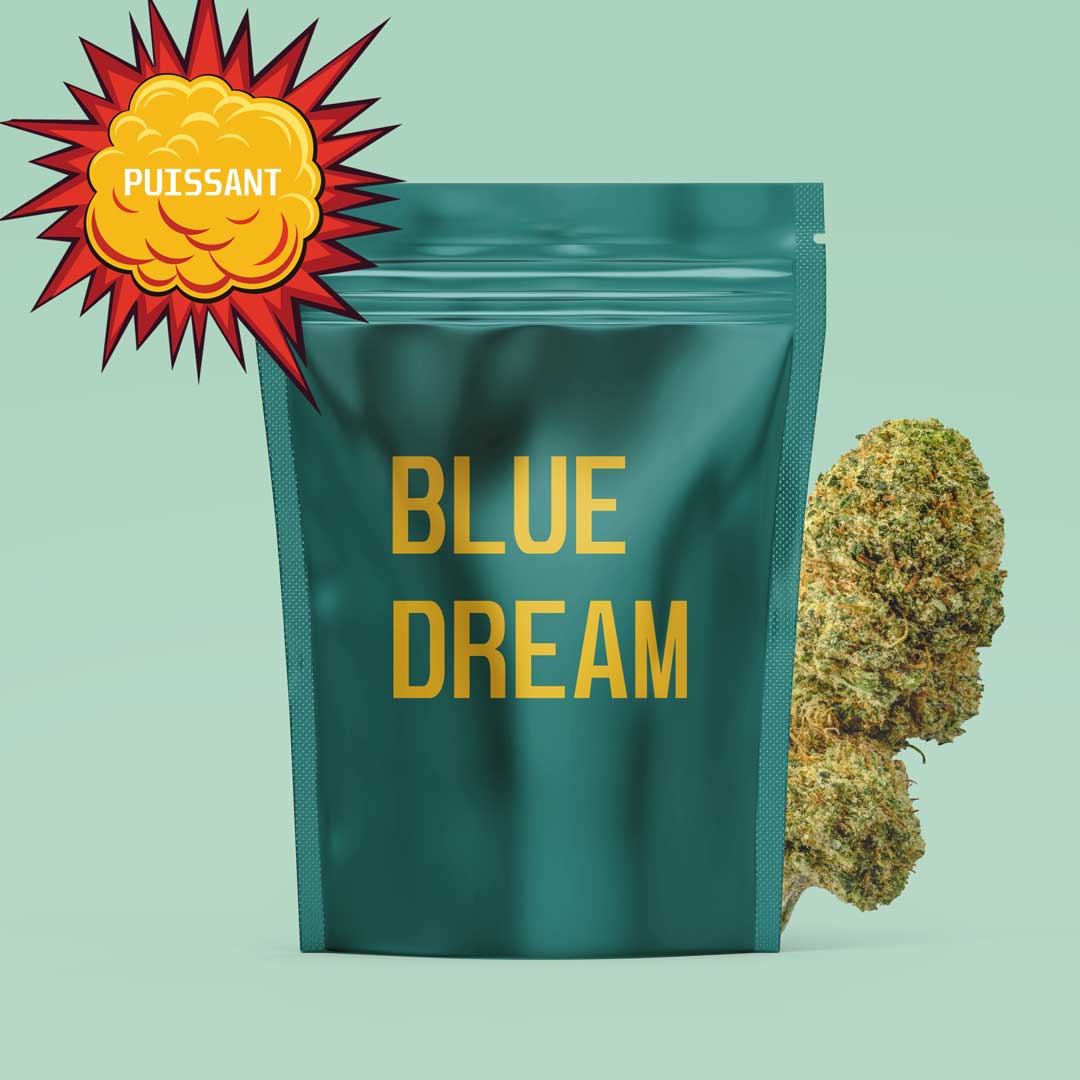 Variété Blue Dream Magic Sauce