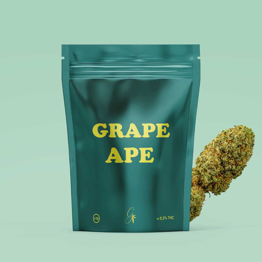 Variété Grape Ape - Fleurs de CBD