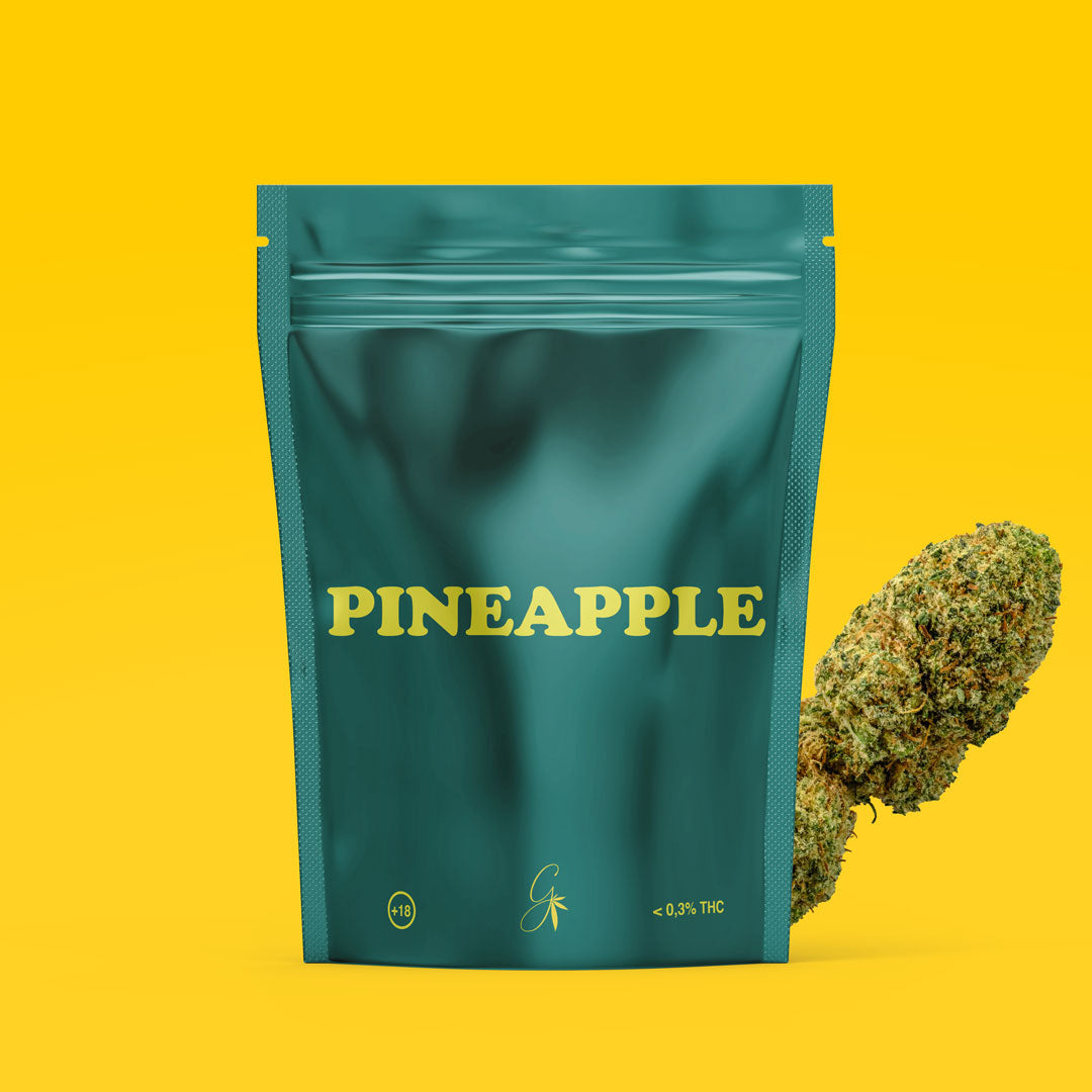 Variété Pineapple - Fleurs de CBD