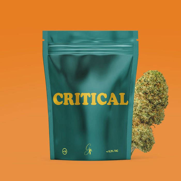 critical-weed