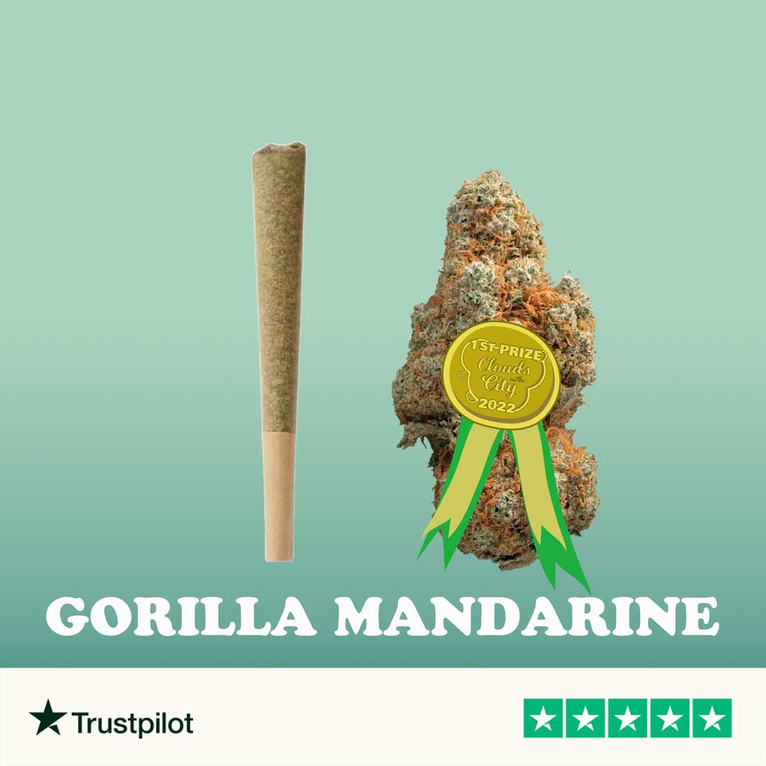 Joint CBD Pré-roulés Gorilla Mandarine