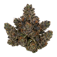 Guava Indoor 2