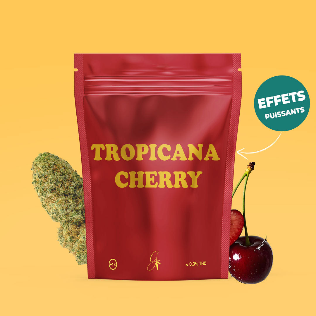 Tropicana Cherry - Fleur CBC